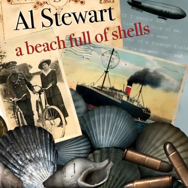A Beach Full Of Shells
