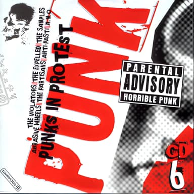 Punk Original Masters [10 CD BoxSet] (CD06) - Punks In Protest