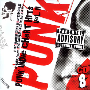 Punk Original Masters [10 CD BoxSet] (CD08) - Punk Indie Chart Hits Vol. Ii