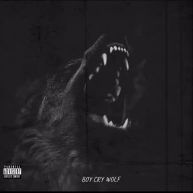 Cry Wolf