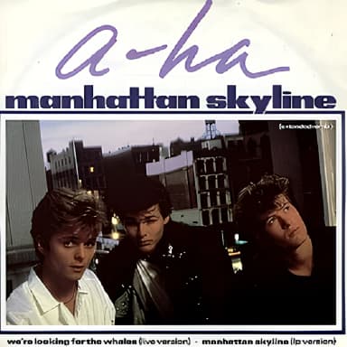 Manhattan Skyline (Extended Remix)