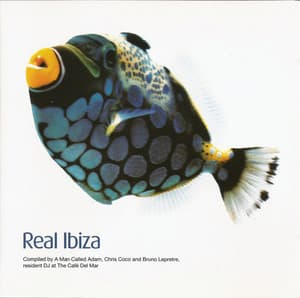 Real Ibiza