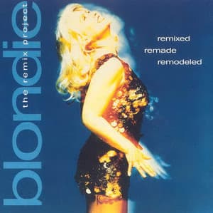 Remixed Remade Remodeled