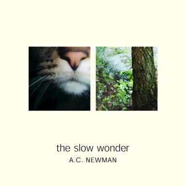 The Slow Wonder