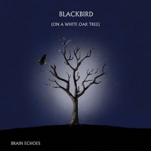 Blackbird (On A White Oak Tree)