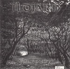 Forest Poetry