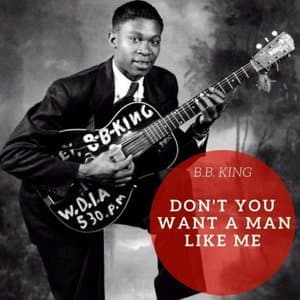 Don't You Want A Man Like Me