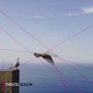 Endless Season
