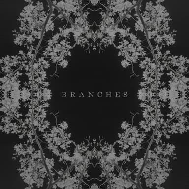 Branches