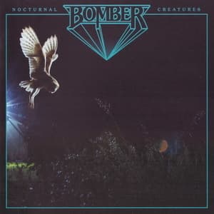Nocturnal Creatures