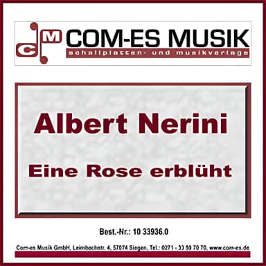 Eine Rose erbluht