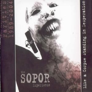 Like A Corpse Standing In Desperation (CD1)