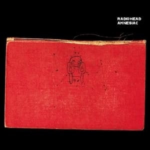 Amnesiac