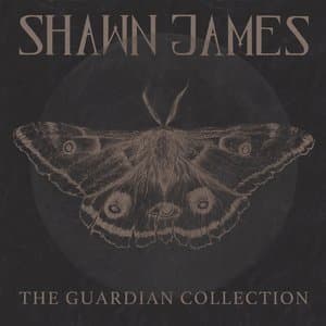 The Guardian Collection