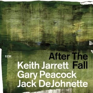 After The Fall