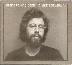 In The Falling Dark