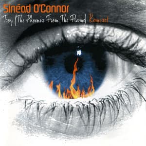 Troy (the Phoenix From The Flame) Remixes (cd2)