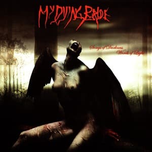 Songs Of Darkness, Words Of Light