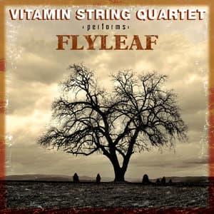 Vsq Performs Flyleaf