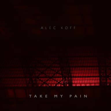 Take My Pain