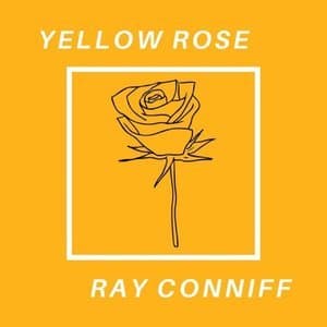 Yellow Rose