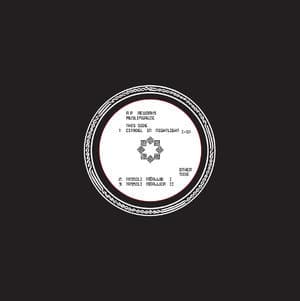 A. P Reworks Two