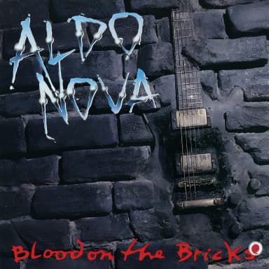 Blood On The Bricks
