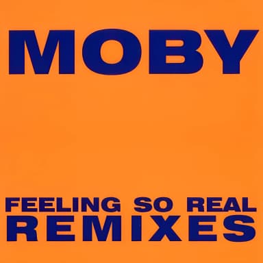 Feeling So Real (Remixes)