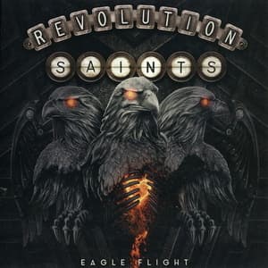 Eagle Flight