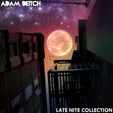 Late Nite Collection