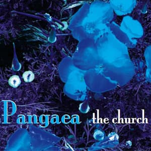 Pangaea