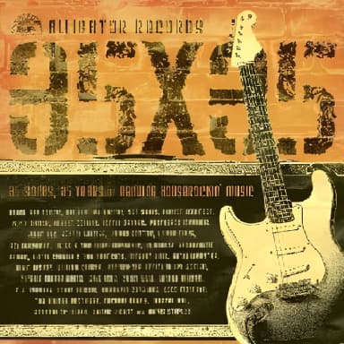 Alligator Records 35 X 35 (CD2)