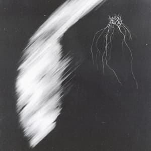 Shattered Waveforms