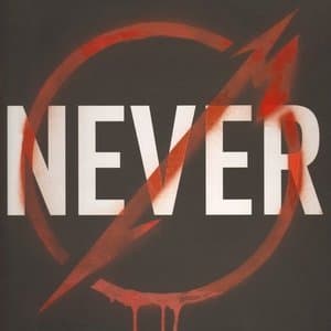 Through the Never