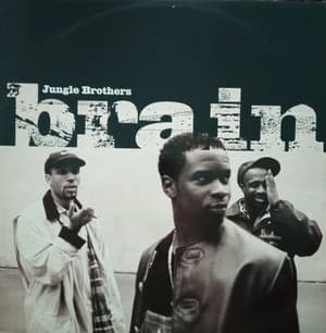 Brain