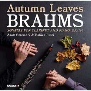 Autumn Leaves