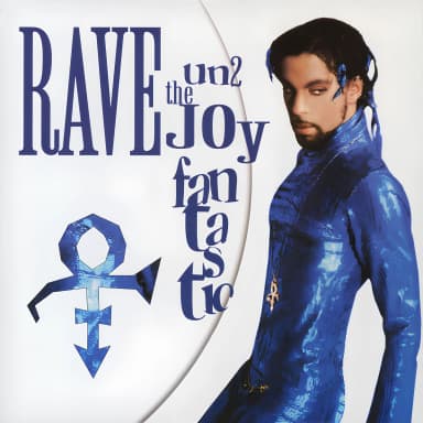 Rave Un2 The Joy Fantastic