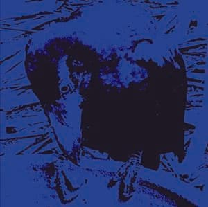 Indigo Dada