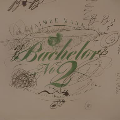Bachelor № 2 - Or, The Last Remains Of The Dodo