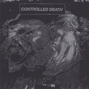 Beautiful Decomposition