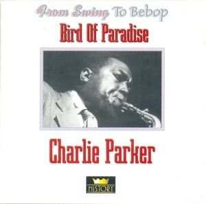 Bird Of Paradise