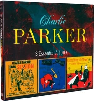 3 Essential Albums