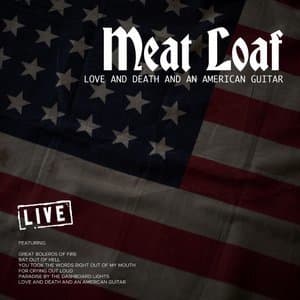 Love And Death And An American Guitar