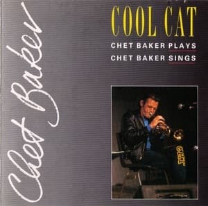Cool Cat