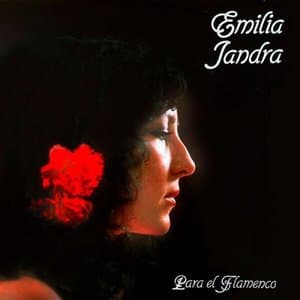 Para el Flamenco