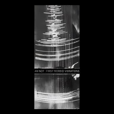 First Morbid Vibrations