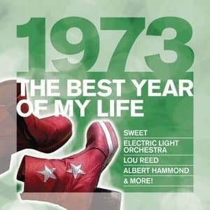 1973 The Best Year Of My Life!