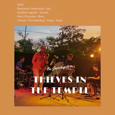 Thieves In The Temple