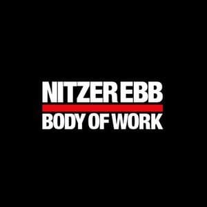 Body Of Work