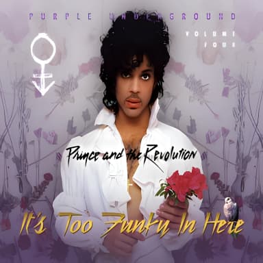 Purple Underground Volume Four: It's Too Funky In Here